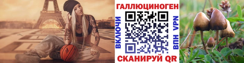 OMG онион Назарово Псилоцибиновые грибы ЛСД